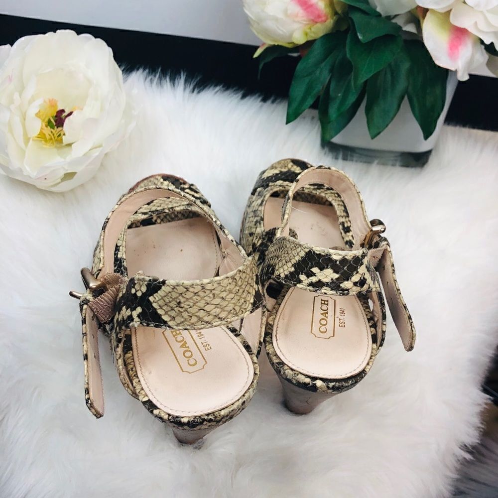 Coach sneak print sandals sz 6B - Picture 7 of 7